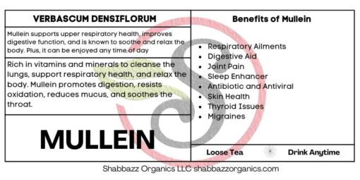 Mullein Tea