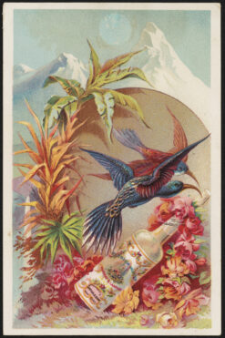 Florida water trade card3