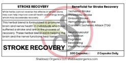 Stroke Recovery Capsules