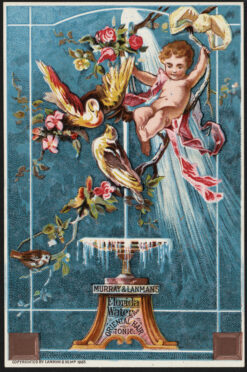 florida water trade card2