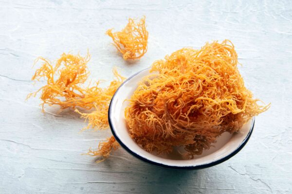 Everything About Sea Moss