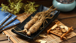 panax ginseng