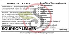 Soursop Leaves