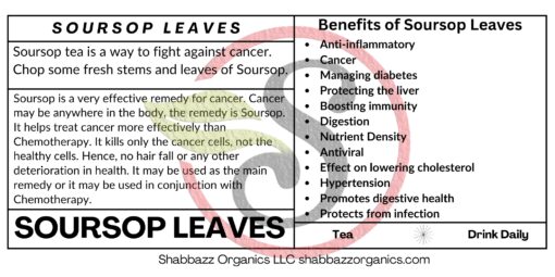 Soursop Leaves