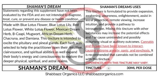 Shaman's Dream