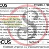 Focus