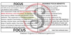 Focus